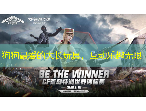 狗狗最愛的大長(zhǎng)玩具，互動(dòng)樂(lè)趣無(wú)限