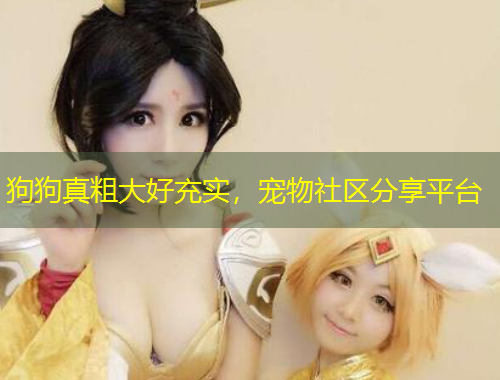 狗狗真粗大好充實，寵物社區(qū)分享平臺