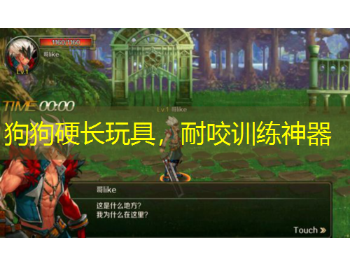 狗狗硬長玩具，耐咬訓練神器