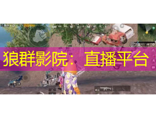 狼群影院：直播平臺(tái)