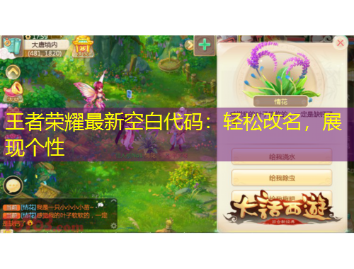 王者榮耀最新空白代碼：輕松改名，展現(xiàn)個性