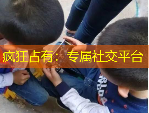 瘋狂占有：專屬社交平臺(tái)