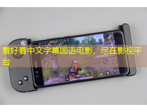 看好看中文字幕國語電影，盡在影視平臺