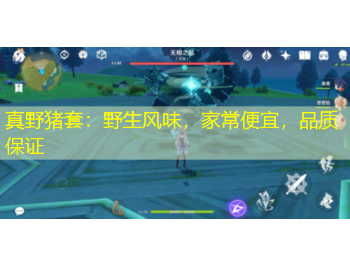 真野豬套：野生風(fēng)味，家常便宜，品質(zhì)保證