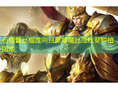 石榴蕾絲榴蓮向日葵草莓絲瓜秋葵種植指南