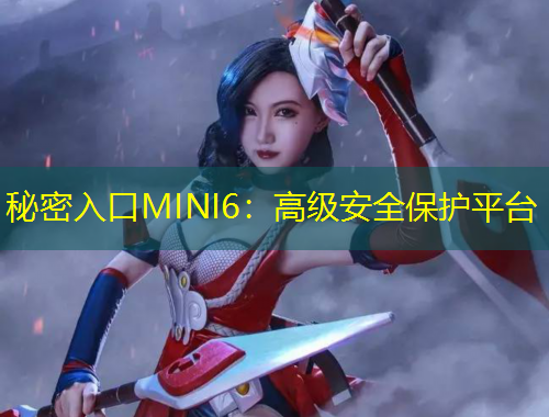 秘密入口MINI6：高級安全保護平臺