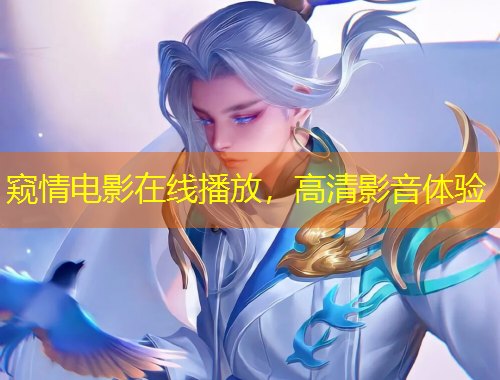 窺情電影在線播放，高清影音體驗(yàn)