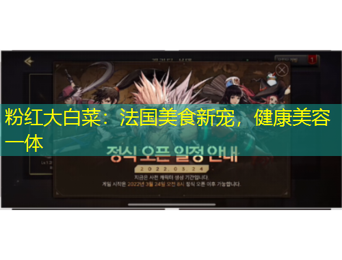 粉紅大白菜：法國美食新寵，健康美容一體