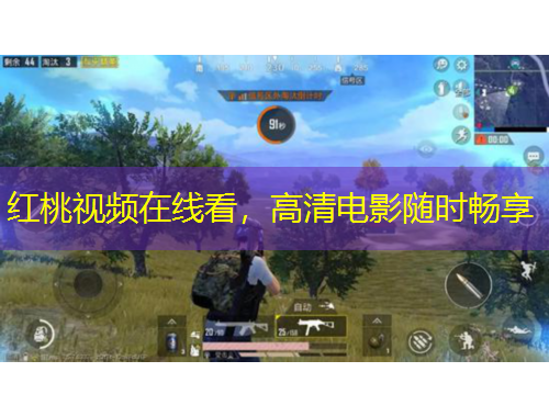 紅桃視頻在線看，高清電影隨時(shí)暢享