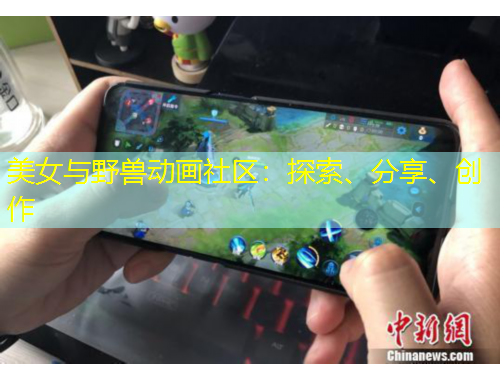 美女與野獸動畫社區(qū)：探索、分享、創(chuàng)作