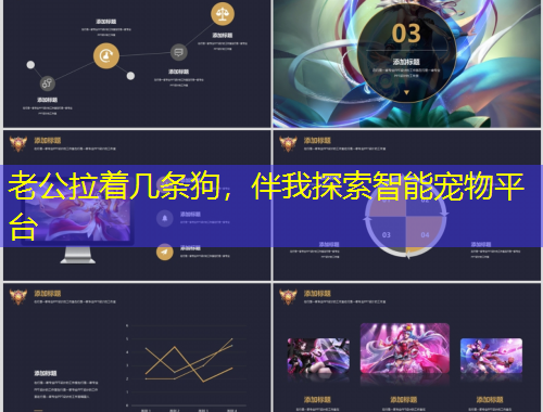 老公拉著幾條狗，伴我探索智能寵物平臺(tái)