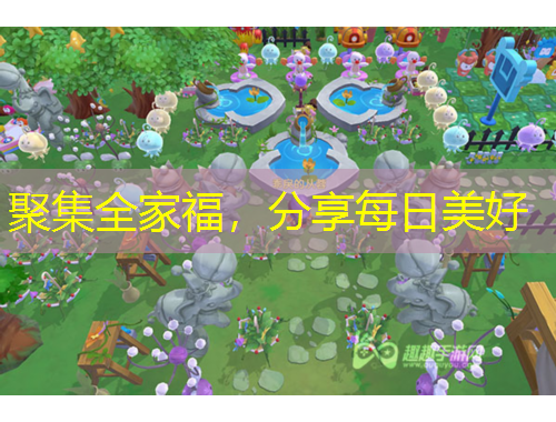 聚集全家福，分享每日美好