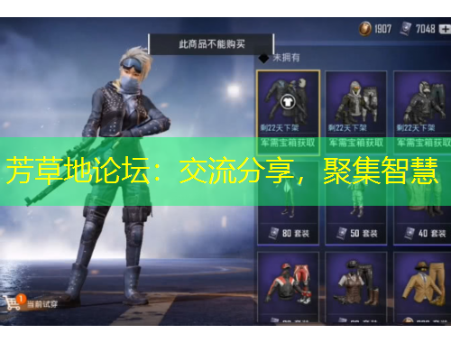 芳草地論壇：交流分享，聚集智慧