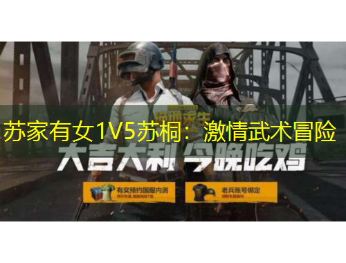 蘇家有女1V5蘇桐：激情武術(shù)冒險(xiǎn)