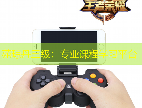 苑瓊丹三級：專業(yè)課程學習平臺