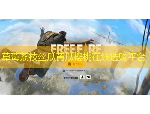 草莓荔枝絲瓜黃瓜櫻桃在線選購平臺