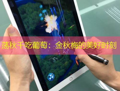 蕩秋千吃葡萄：金秋梅的美好時(shí)刻