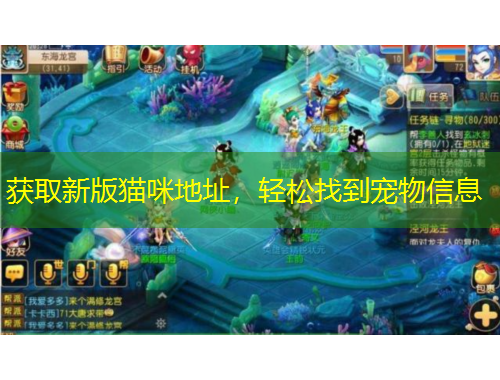 獲取新版貓咪地址，輕松找到寵物信息