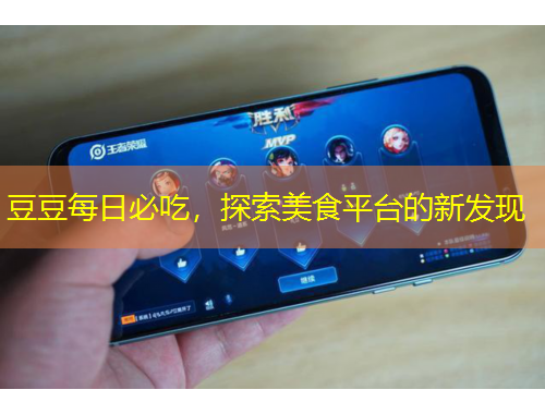 豆豆每日必吃，探索美食平臺的新發(fā)現(xiàn)