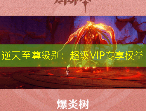 逆天至尊級(jí)別：超級(jí)VIP專享權(quán)益