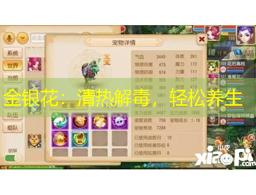 金銀花：清熱解毒，輕松養(yǎng)生