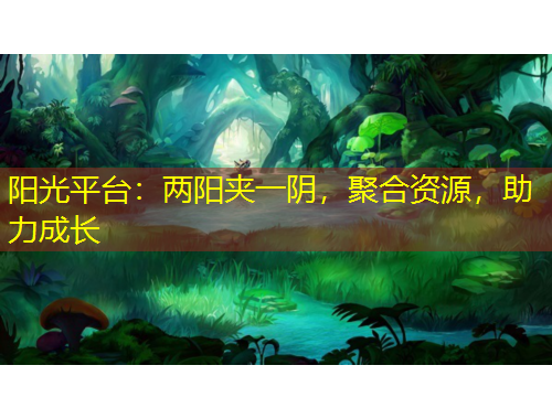 陽(yáng)光平臺(tái)：兩陽(yáng)夾一陰，聚合資源，助力成長(zhǎng)