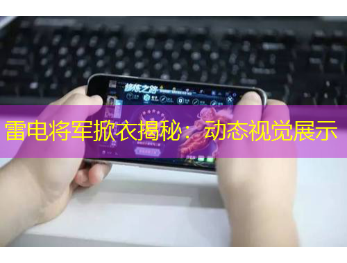 雷電將軍掀衣揭秘：動態(tài)視覺展示