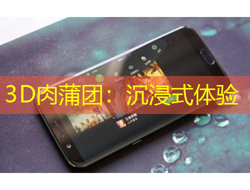 3D肉蒲團(tuán)：沉浸式體驗