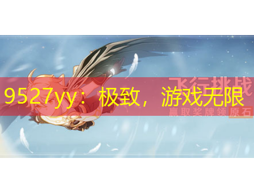 9527yy：極致，游戲無限