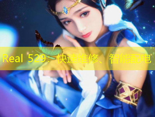 Real 529：快速維修、智能配電