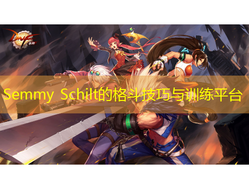 Semmy Schilt的格斗技巧與訓(xùn)練平臺(tái)