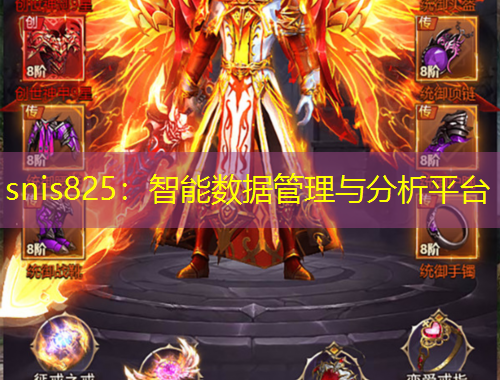 snis825：智能數(shù)據(jù)管理與分析平臺