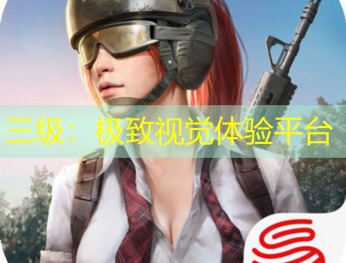 三級(jí)：極致視覺體驗(yàn)平臺(tái)