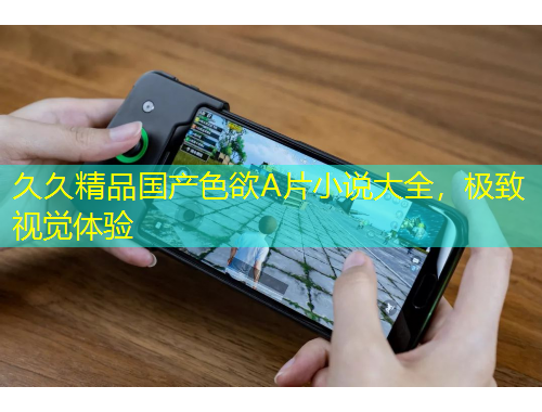 久久精品國(guó)產(chǎn)色欲A片小說(shuō)大全，極致視覺(jué)體驗(yàn)