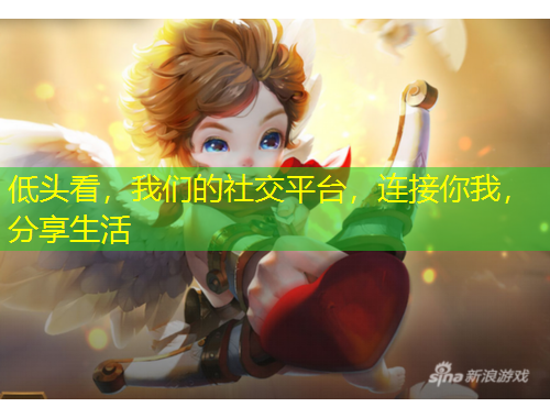 低頭看，我們的社交平臺，連接你我，分享生活