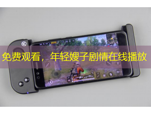 免費(fèi)觀看，年輕嫂子劇情在線播放