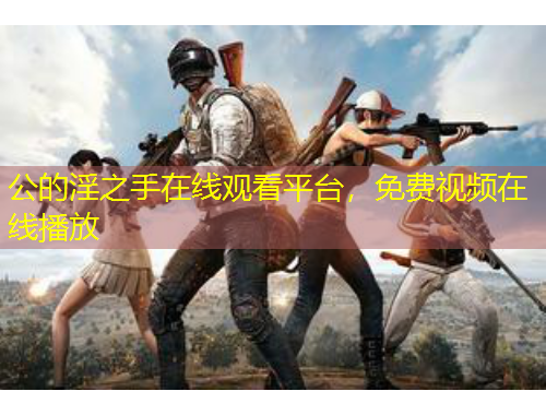 公的淫之手在線觀看平臺，免費(fèi)視頻在線播放