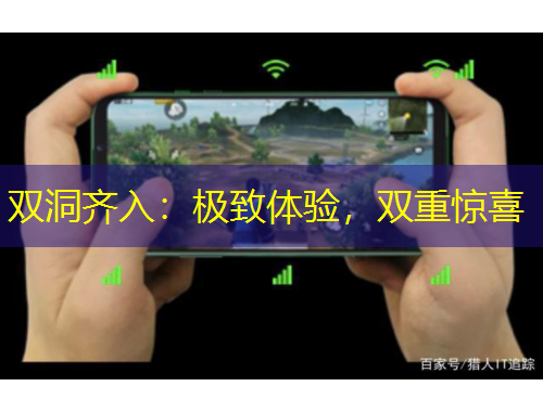 雙洞齊入：極致體驗，雙重驚喜