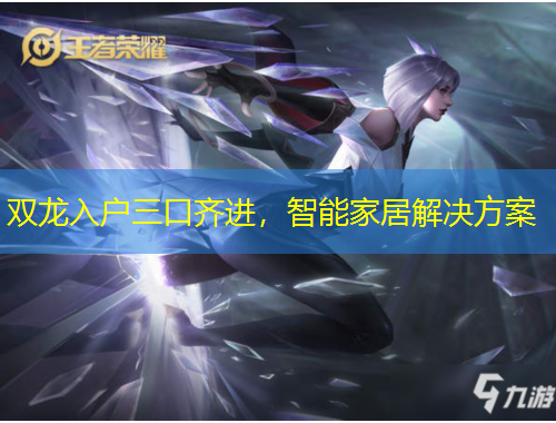 雙龍入戶三口齊進，智能家居解決方案