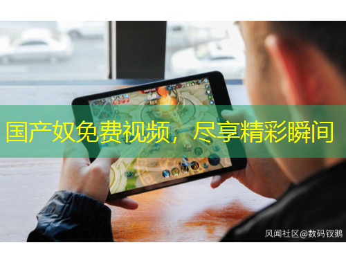 國產(chǎn)奴免費(fèi)視頻，盡享精彩瞬間