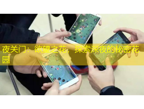 夜關(guān)門：欲望之花，探索深夜的秘密花園