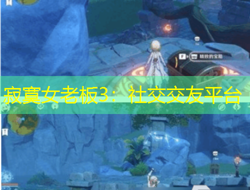 寂寞女老板3：社交交友平臺