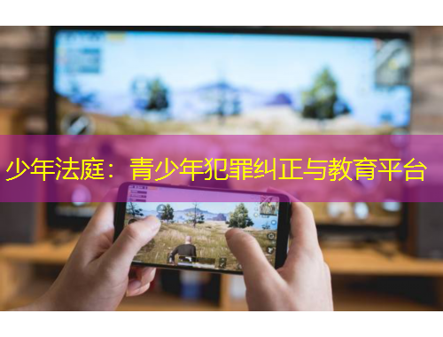 少年法庭：青少年犯罪糾正與教育平臺(tái)