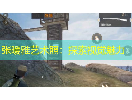 張暖雅藝術(shù)照：探索視覺魅力