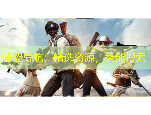 情澀導(dǎo)航：精選資源，智能搜索