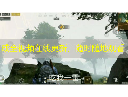 成全視頻在線(xiàn)更新，隨時(shí)隨地觀(guān)看