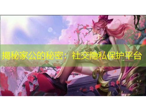 揭秘家公的秘密：社交隱私保護平臺