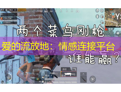 愛的流放地：情感連接平臺