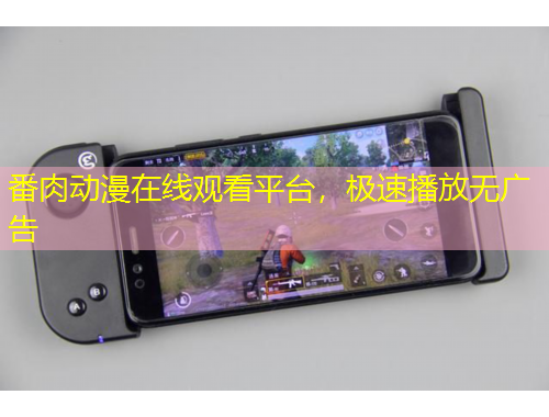 番肉動(dòng)漫在線觀看平臺(tái)，極速播放無(wú)廣告