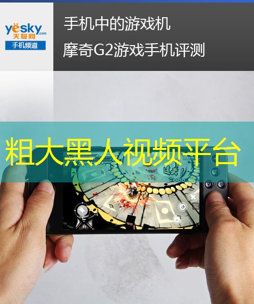 粗大黑人視頻平臺